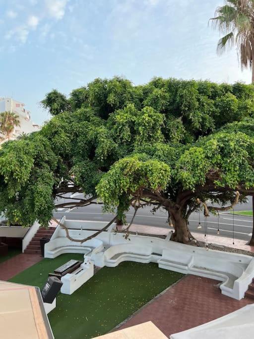 Cozy Appartement Costa Adeje (Tenerife)