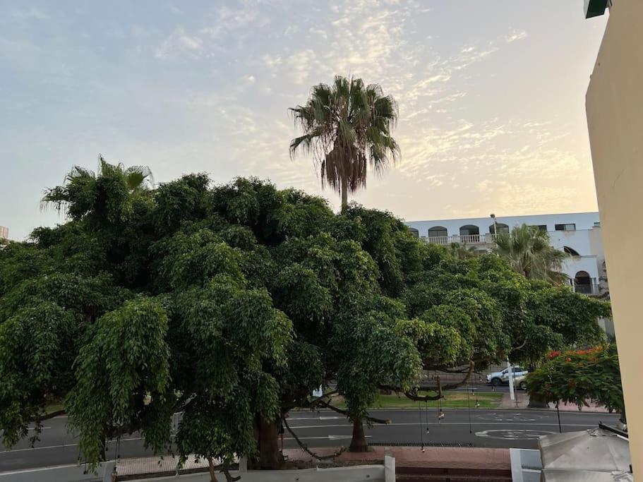 Cozy Appartement Costa Adeje (Tenerife)